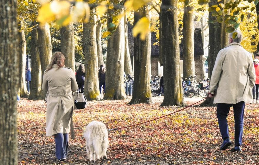 A person walking outdoors