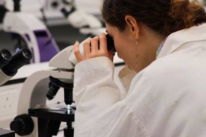 Cytology under a laboratory microscope